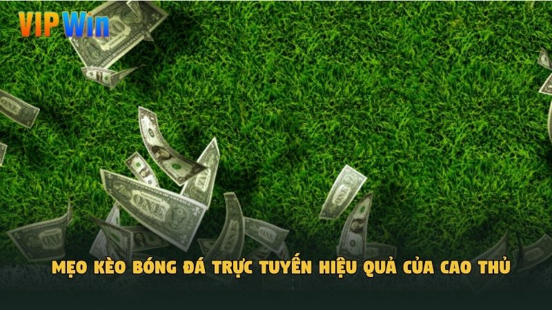 Mẹo kèo bóng đá trực tuyến hiệu quả của cao thủ