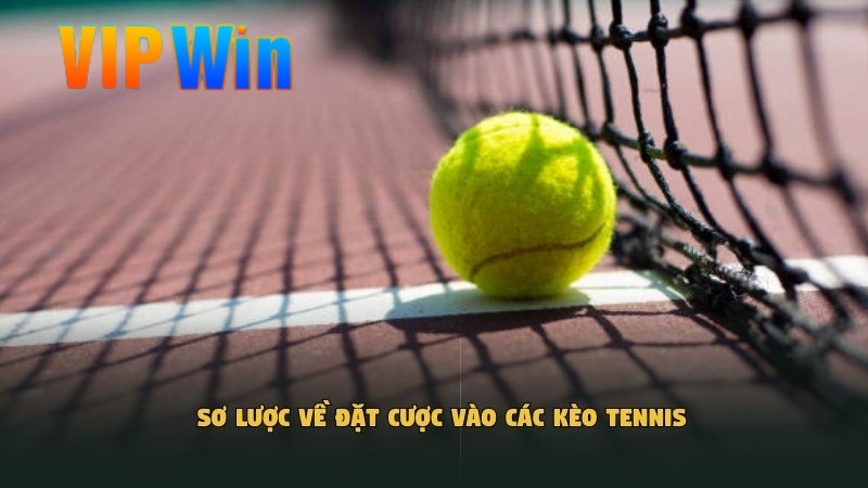 Sơ lược về đặt cược vào các kèo Tennis