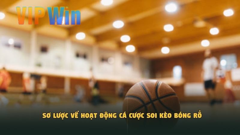 Sơ lược về hoạt động cá cược soi kèo bóng rổ