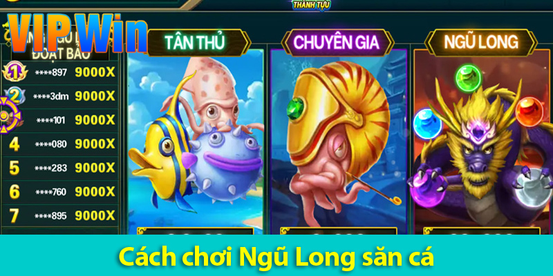 Cách chơi bắn cá Ngũ Long và các bí quyết săn cá khủng trên VIPWIN