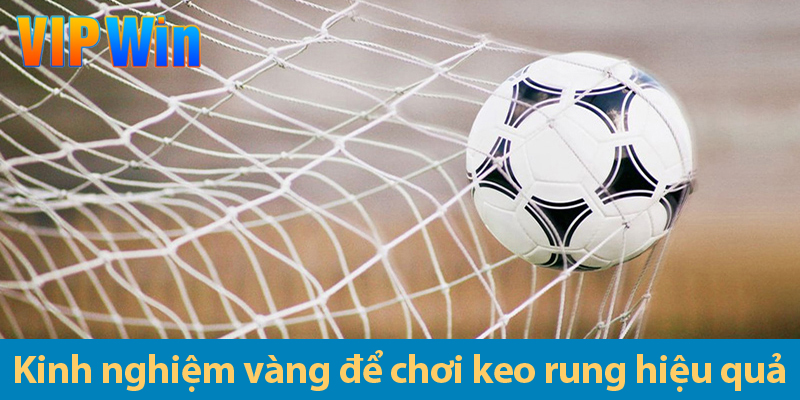 Kèo rung bóng đá – Khám phá các kèo rung và kinh nghiệm chơi hiệu quả 2025